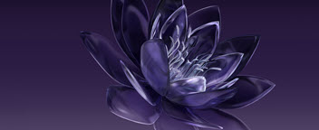 Center for Family Legacy