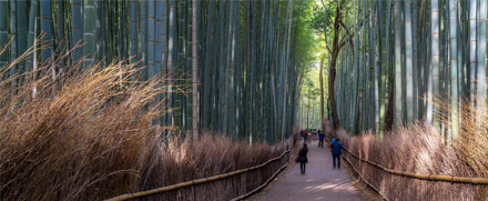 Sustainability: the springboard for future generations | Truist