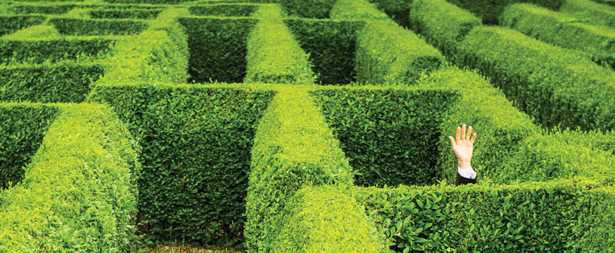 An introduction to hedge funds | Truist Wealth