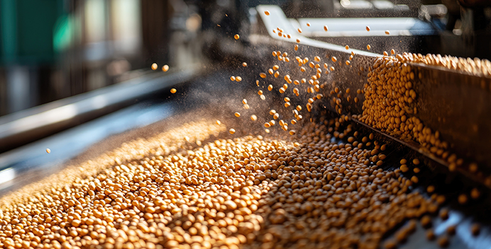 The search for solid ground: What global tariff dynamics mean for U.S. agribusinesses