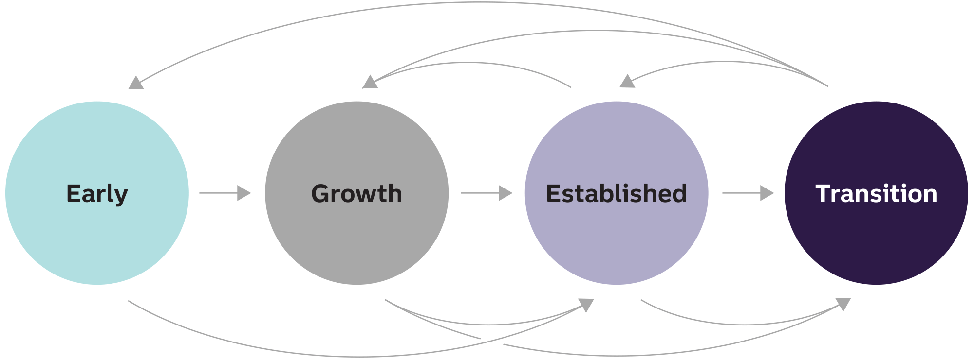 Four circles with a word in the center of each: early, growth, established, transition. Arrows connect the circles to each other in several ways to show how businesses can move through the stages of the business lifecycle.