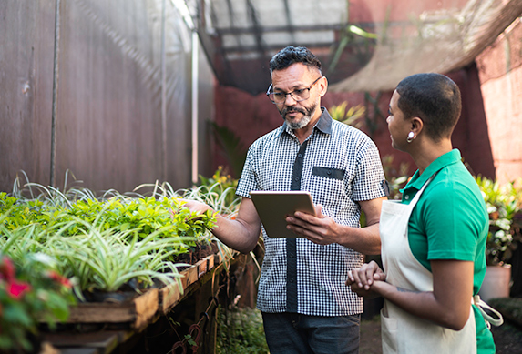 What to do when your business needs cash