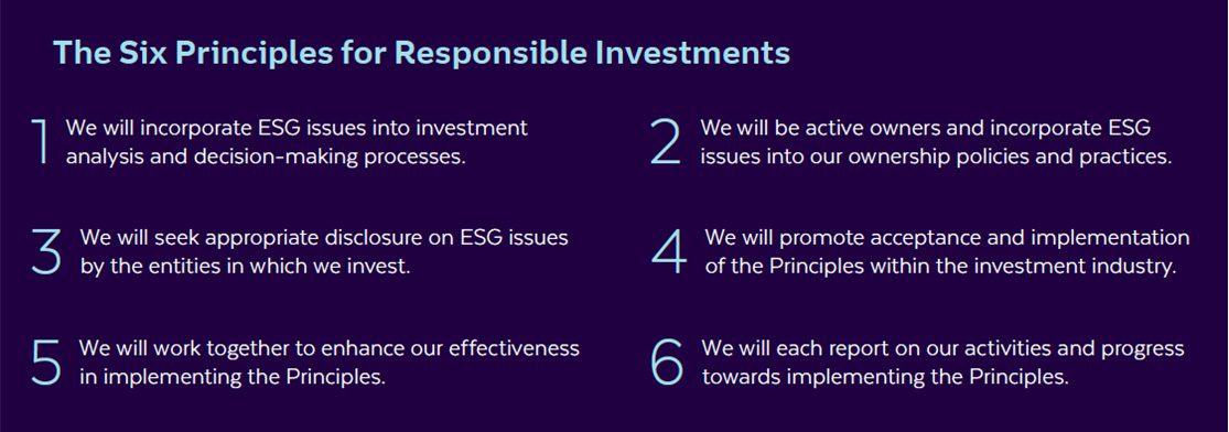 The Six Principles for Responsible Investments