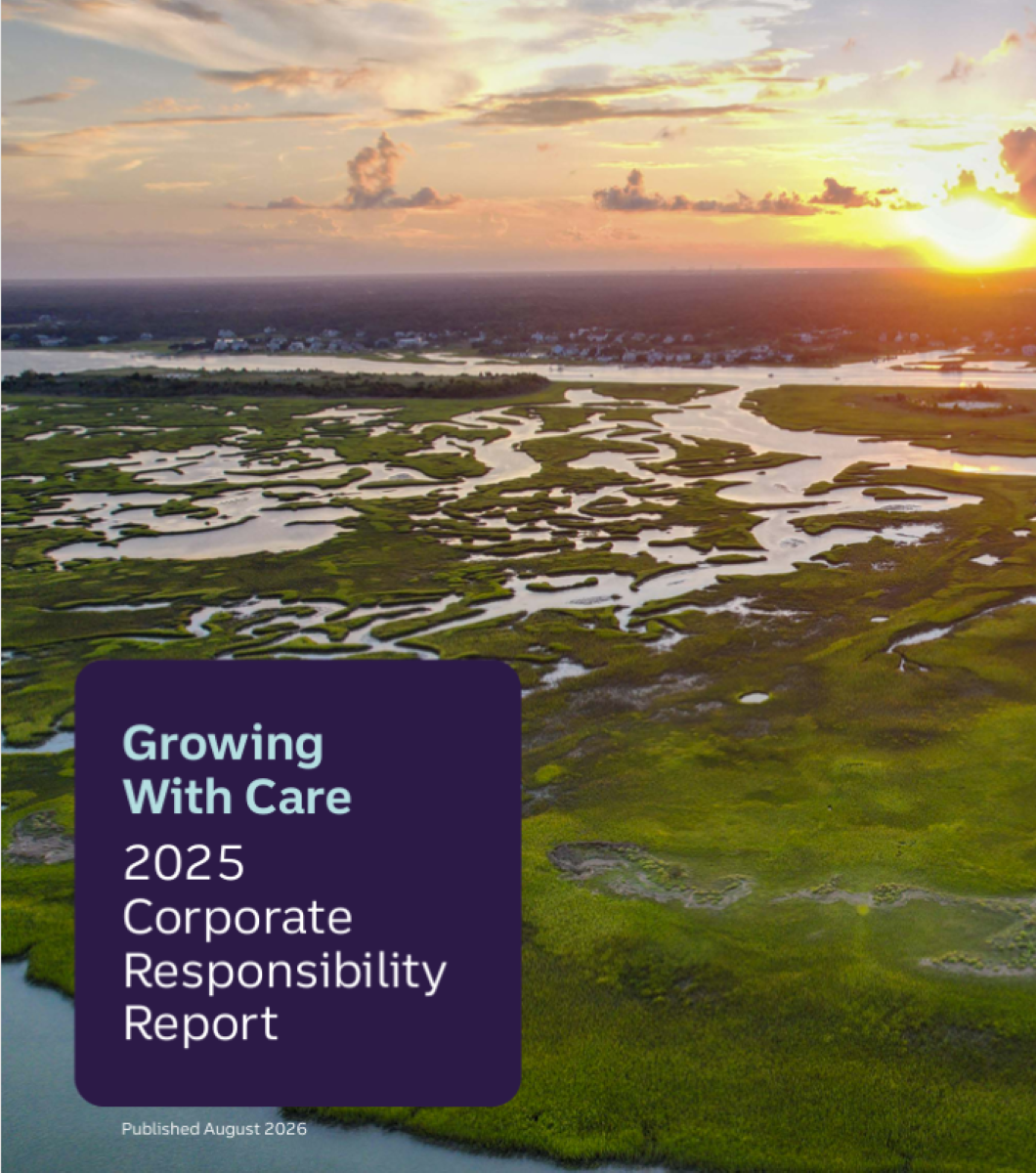Crecimiento con cautela: Informe de responsabilidad corporativa 2025 (PDF)